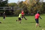 OTFL Gallery Image